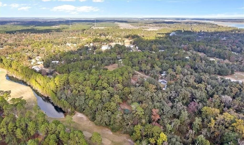 1069 Shellman Hammock Drive Northeast Townsend, GA 31331 - Photo 40 of 41