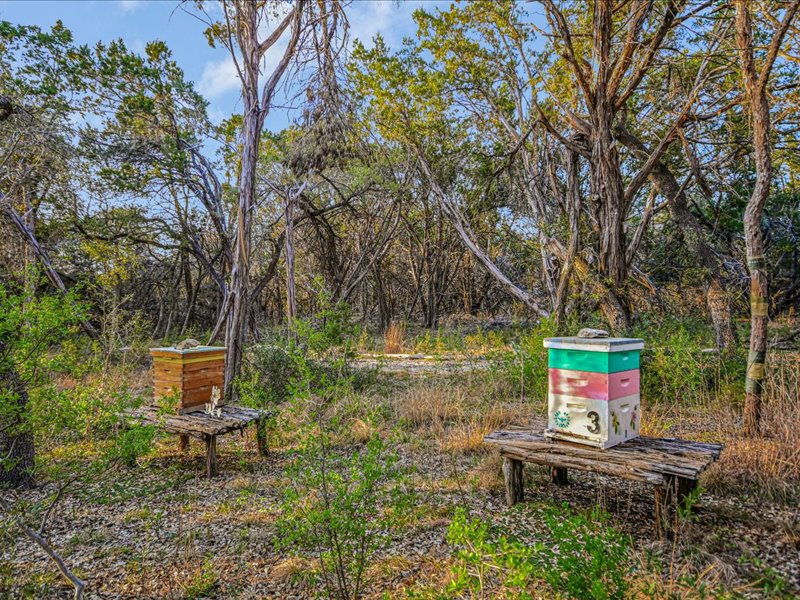 14036 Timberline Trail Austin, TX 78737 - Photo 34 of 40 View of Bee Hives. Owner will sell them if buyer does not want them.