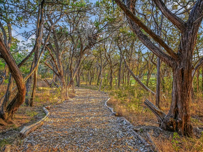14036 Timberline Trail Austin, TX 78737 - Photo 35 of 40 Nature Trail that winds around much of the property.