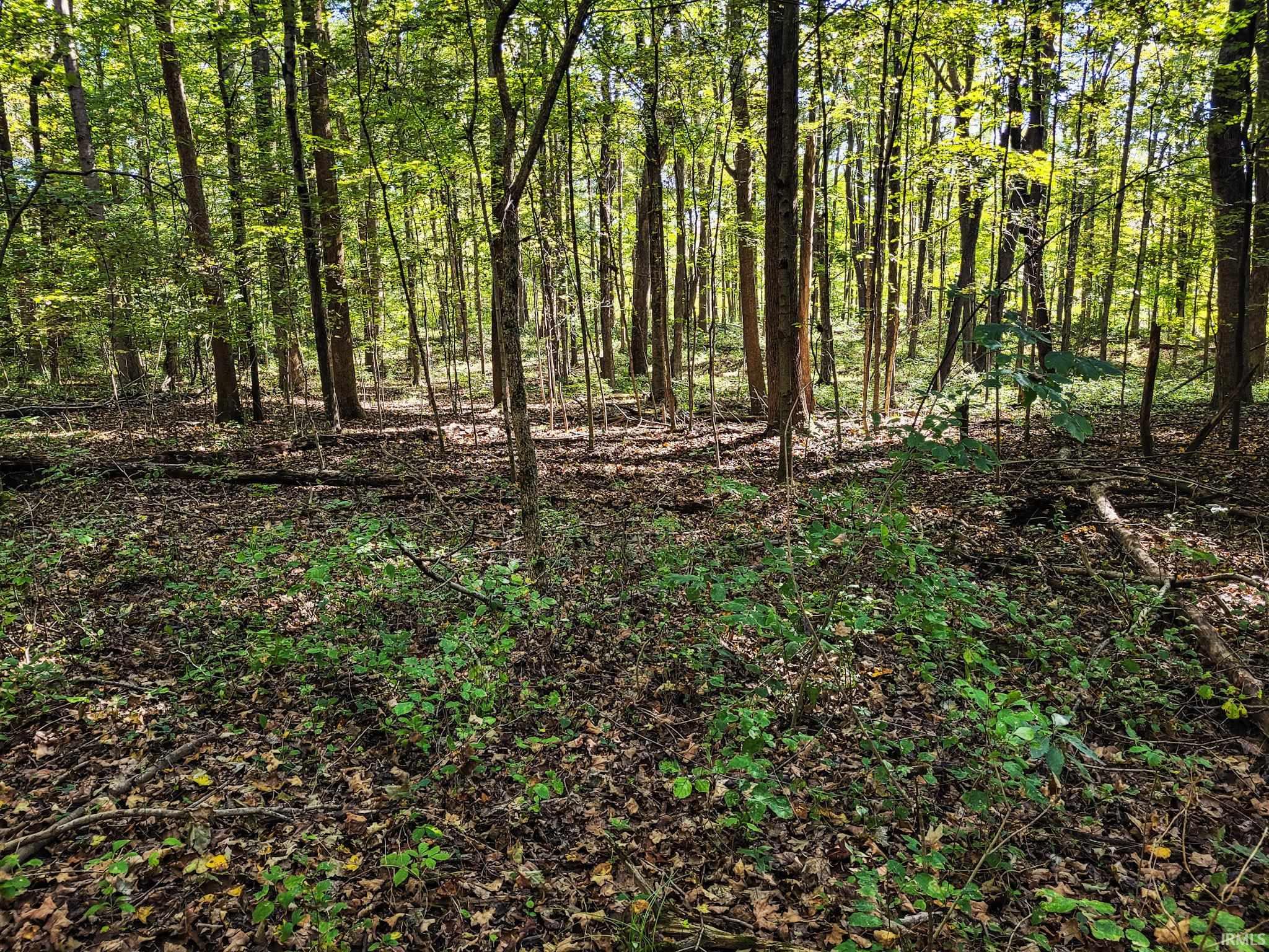 0 Hebron Church Road Henryville, IN 47126 - Photo 7 of 17 Gallery Image 7