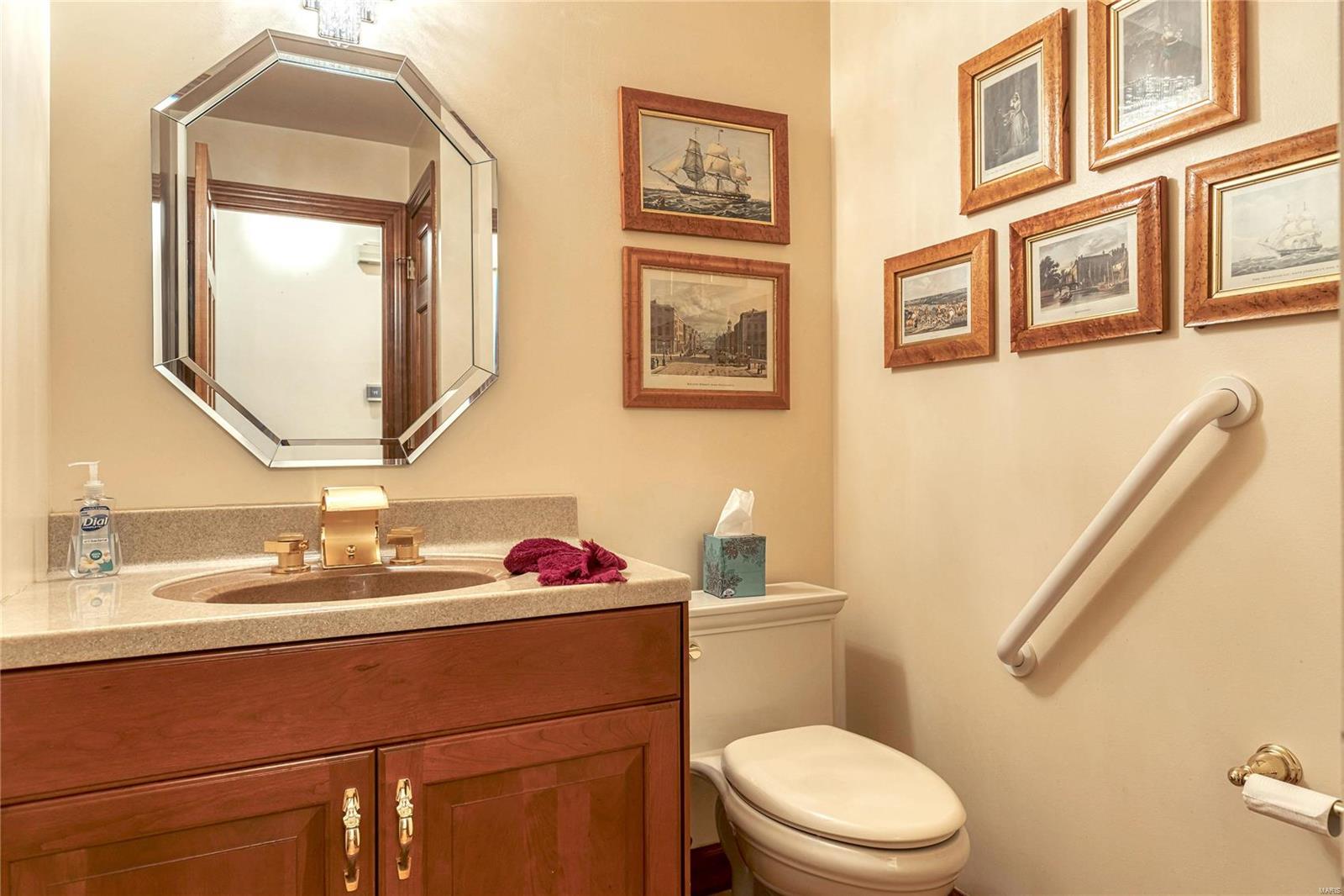 178 South Mason Road Creve Coeur, MO 63141 - Photo 28 of 49 Gallery Image 28
