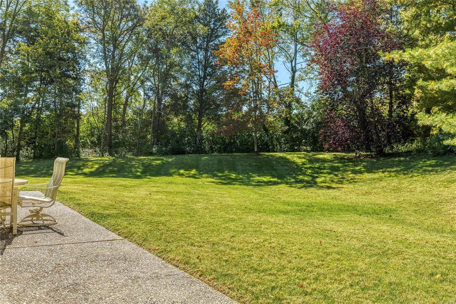 178 South Mason Road Creve Coeur, MO 63141 - Photo 46 of 49 Gallery Image 46