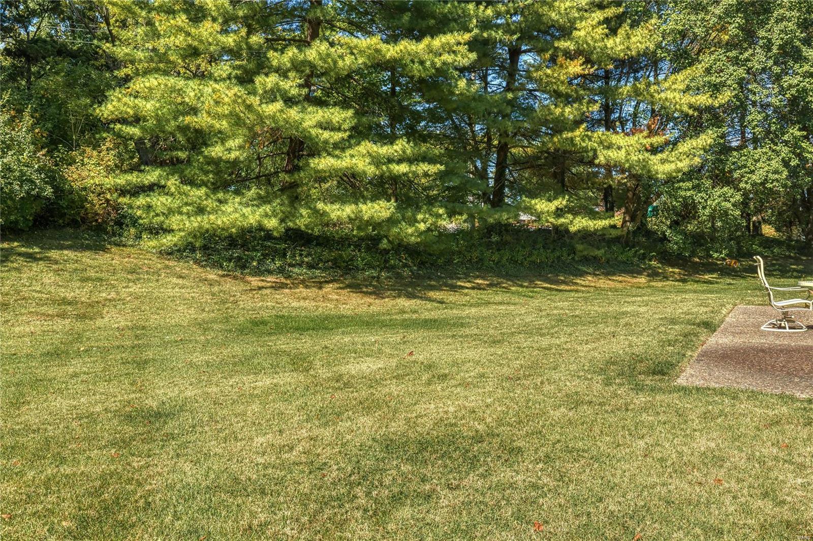 178 South Mason Road Creve Coeur, MO 63141 - Photo 47 of 49 Gallery Image 47