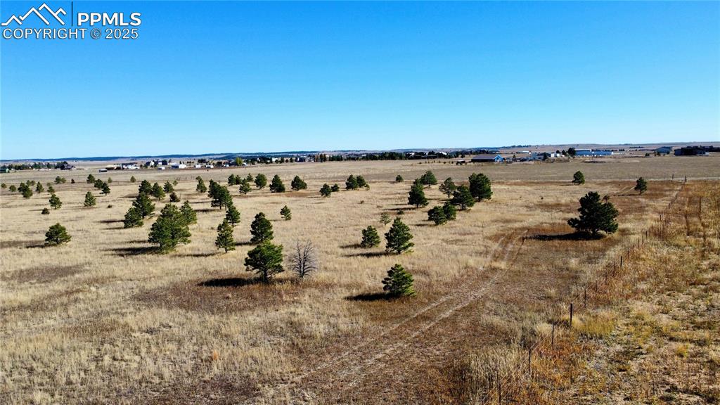 98 County Road 98 Elbert, CO 80106 - Photo 11 of 11 an ocean beach with lots of trees