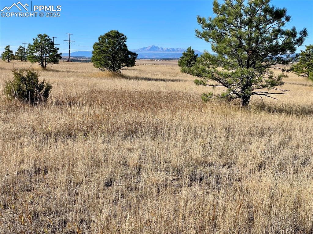 98 County Road 98 Elbert, CO 80106 - Photo 4 of 11 a view of a yard