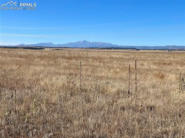 a view of an ocean beach