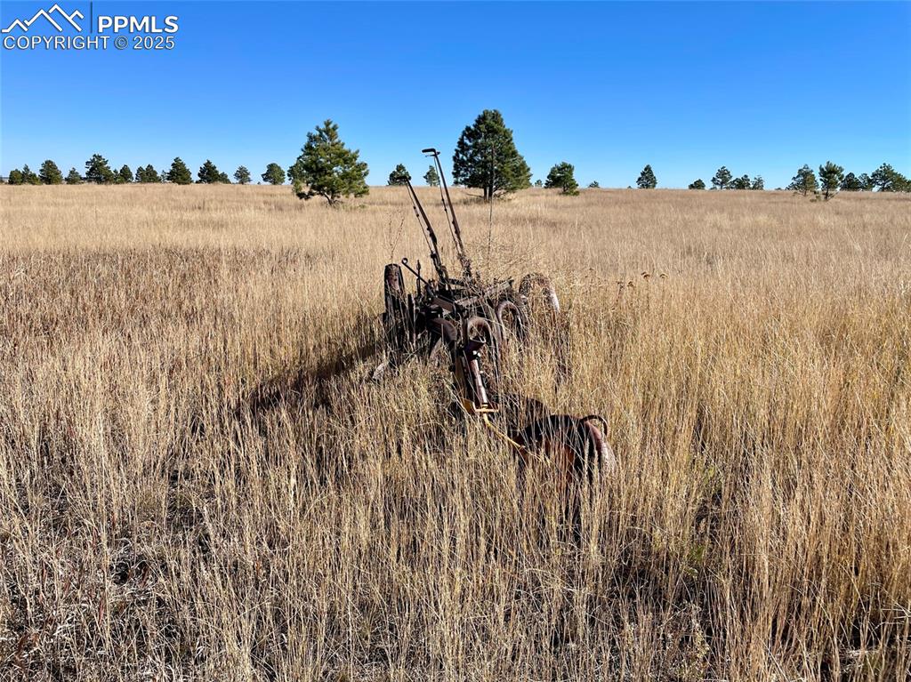 98 County Road 98 Elbert, CO 80106 - Photo 6 of 11 a view of a yard