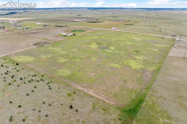 an ocean beach with lots of trees
