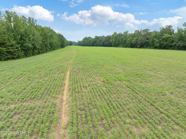 $163,200 | 0 Darden Christian Chapel Road, Darden, TN 38328