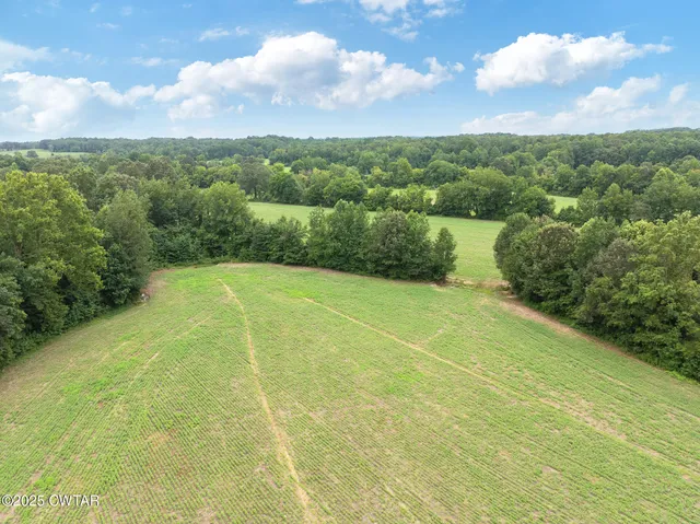 a view of a big yard with lots of green space