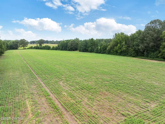 a view of a lake with a yard