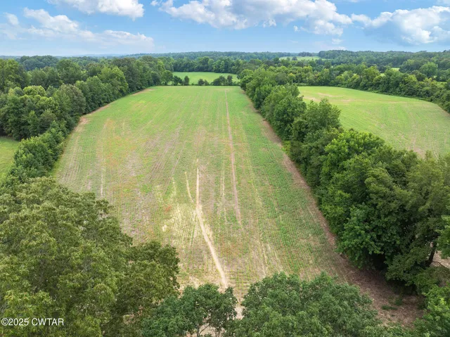 a view of a field with an trees in the background