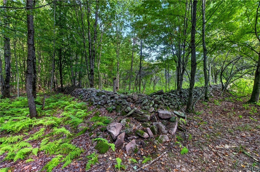 158 Johnson Road Parish, NY 13131 - Photo 16 of 37 Gallery Image 16