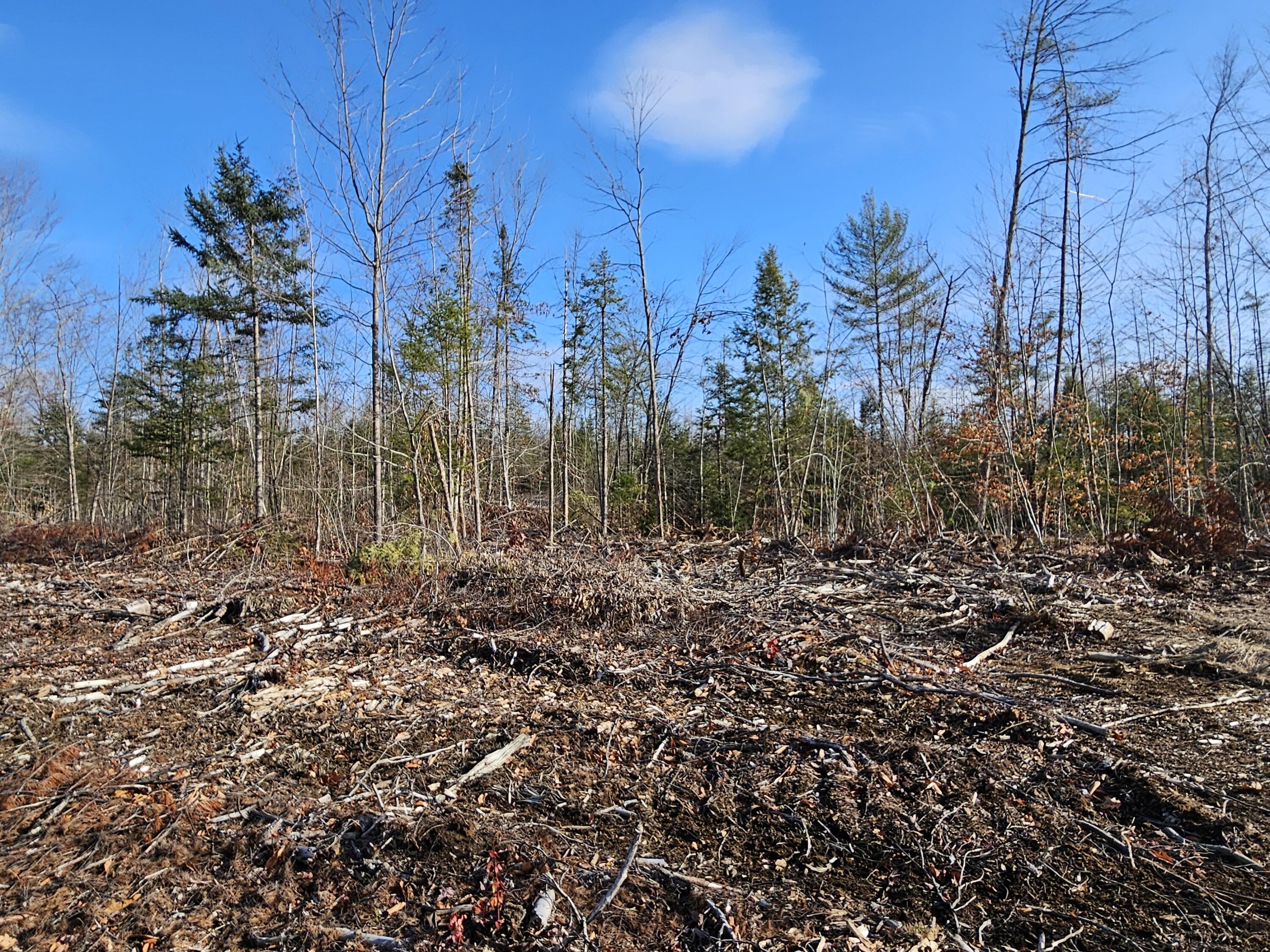 33 Cape Cod Hill Road New Sharon, ME 04955 - Photo 9 of 17 20251112_124509