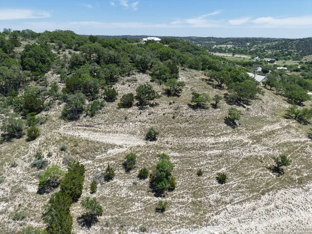 a view of a dry yard with lots of trees