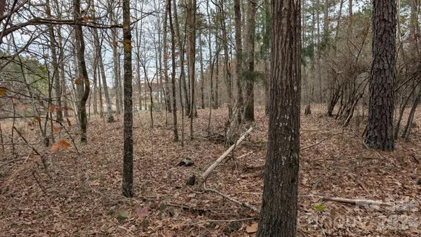 a view of a forest with trees