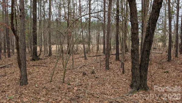 a backyard of a house with lots of tall trees