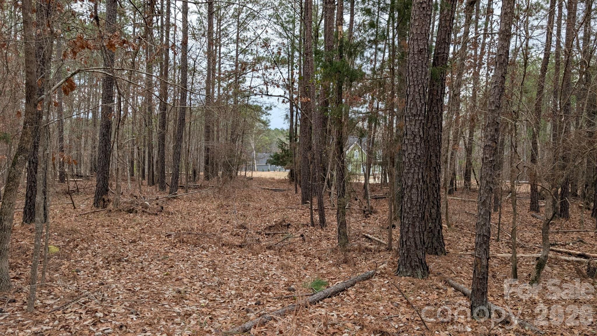 Tbd Retreat Way, Unit 3 Ridgeway, SC 29130 - Photo 14 of 22 a backyard of a house with lots of tall trees