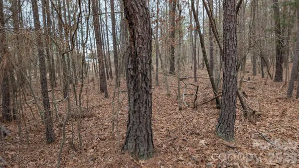 a view of small space with lots of trees