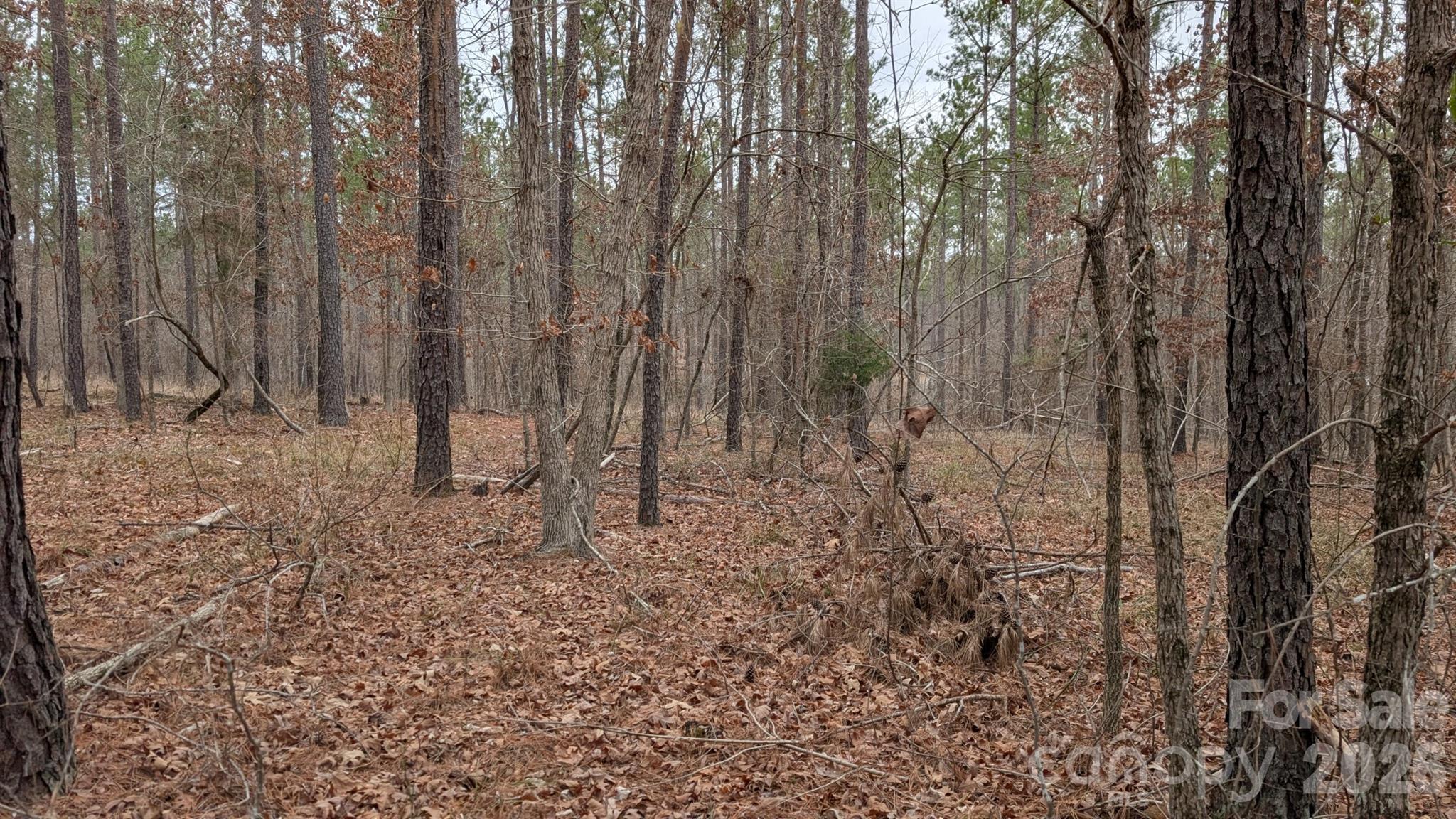 Tbd Retreat Way, Unit 3 Ridgeway, SC 29130 - Photo 17 of 22 a view of small space with lots of trees