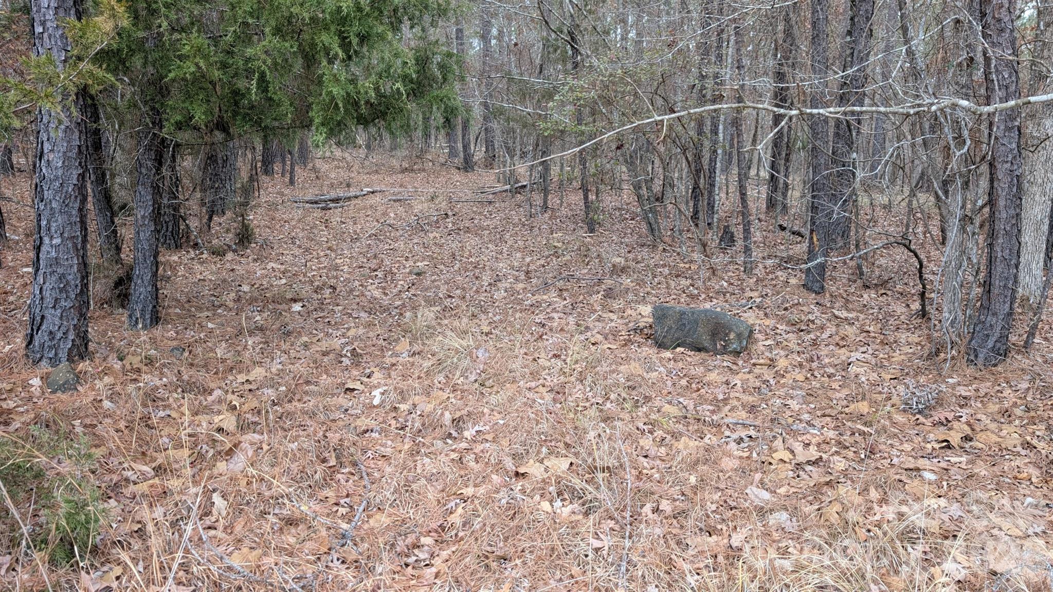Tbd Retreat Way, Unit 3 Ridgeway, SC 29130 - Photo 18 of 22 a backyard of a house with lots of green space