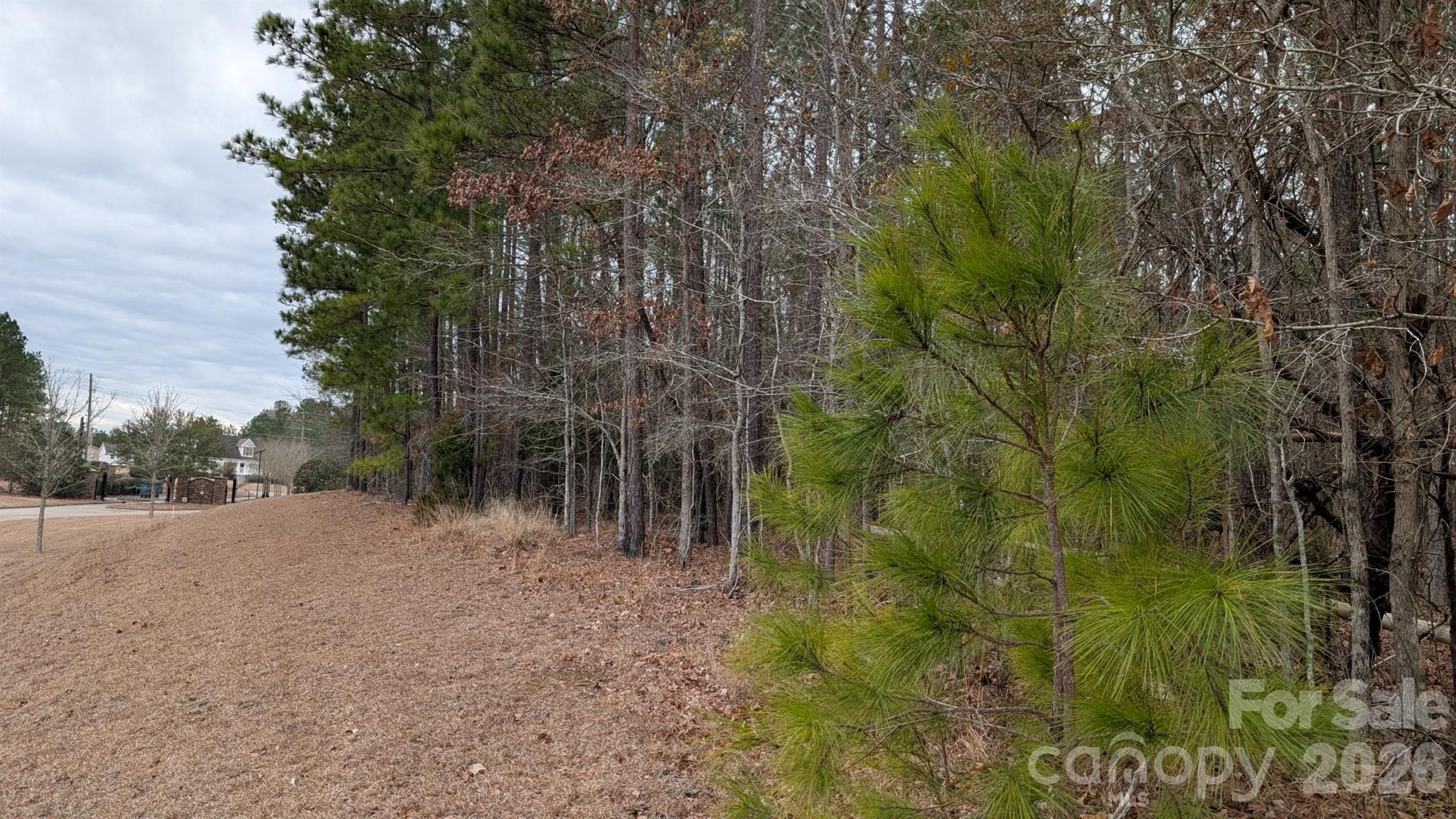 Tbd Retreat Way, Unit 3 Ridgeway, SC 29130 - Photo 20 of 22 a view of a yard with plants and trees
