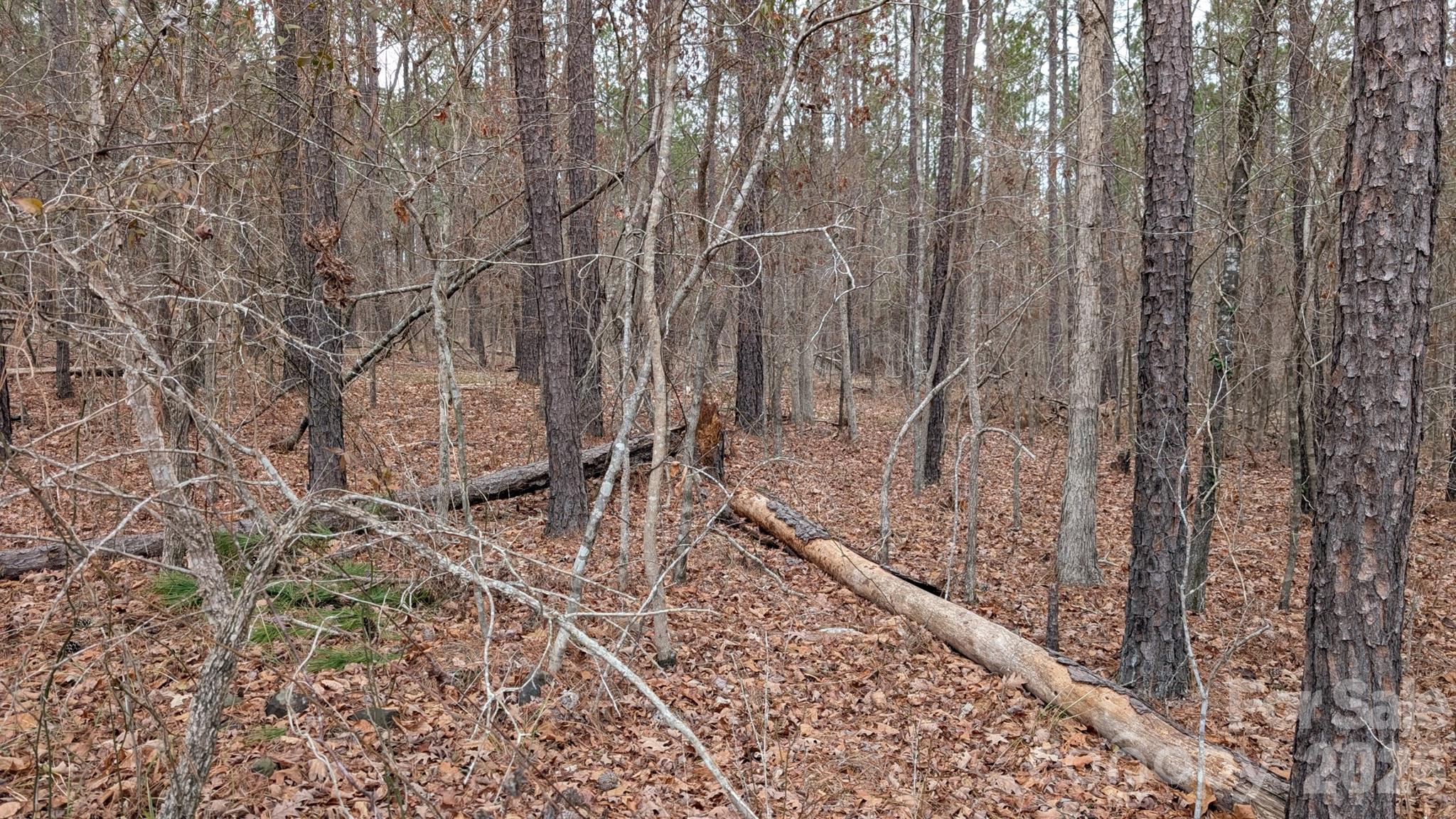 Tbd Retreat Way, Unit 3 Ridgeway, SC 29130 - Photo 22 of 22 a picture of a yard
