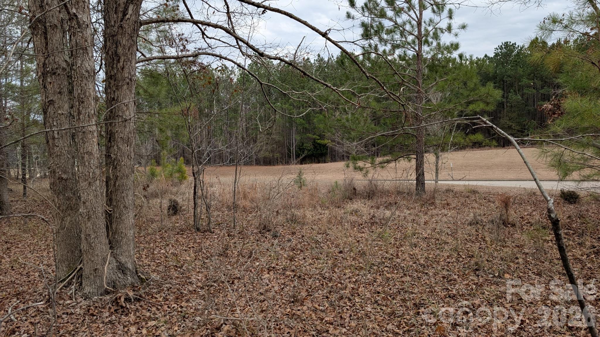 Tbd Retreat Way, Unit 3 Ridgeway, SC 29130 - Photo 3 of 22 a view of a yard with trees