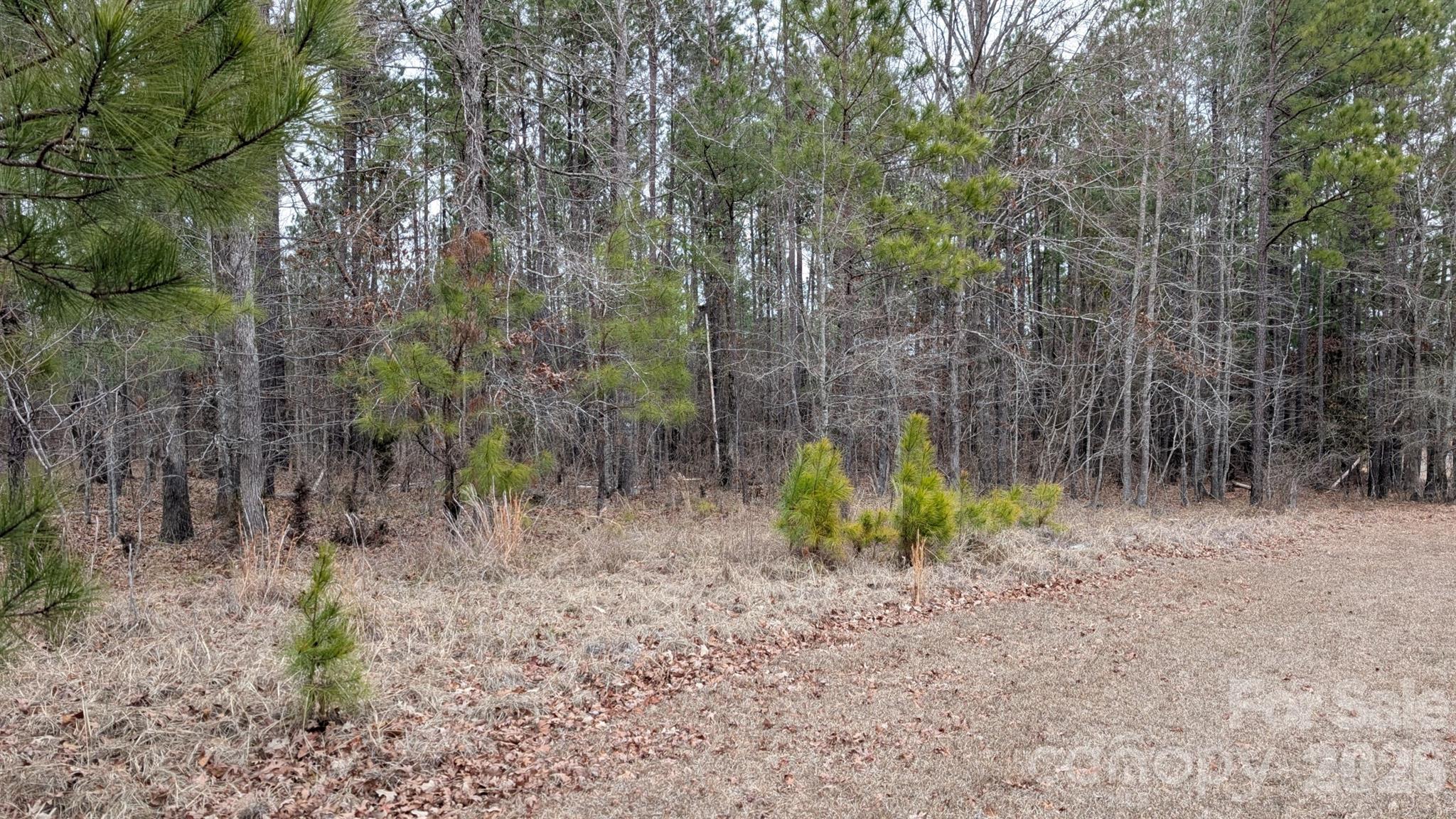 Tbd Retreat Way, Unit 3 Ridgeway, SC 29130 - Photo 4 of 22 a view of a yard with plants