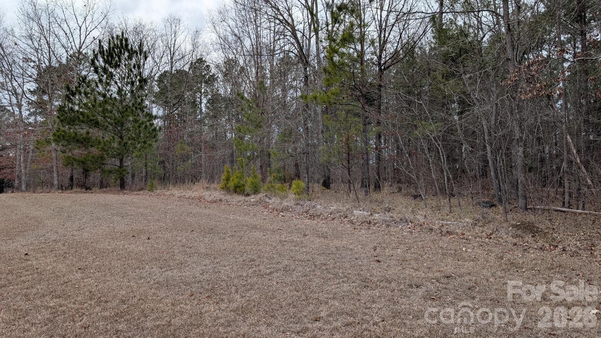 Tbd Retreat Way, Unit 3 Ridgeway, SC 29130 - Photo 5 of 22 a view of a forest with trees in the background
