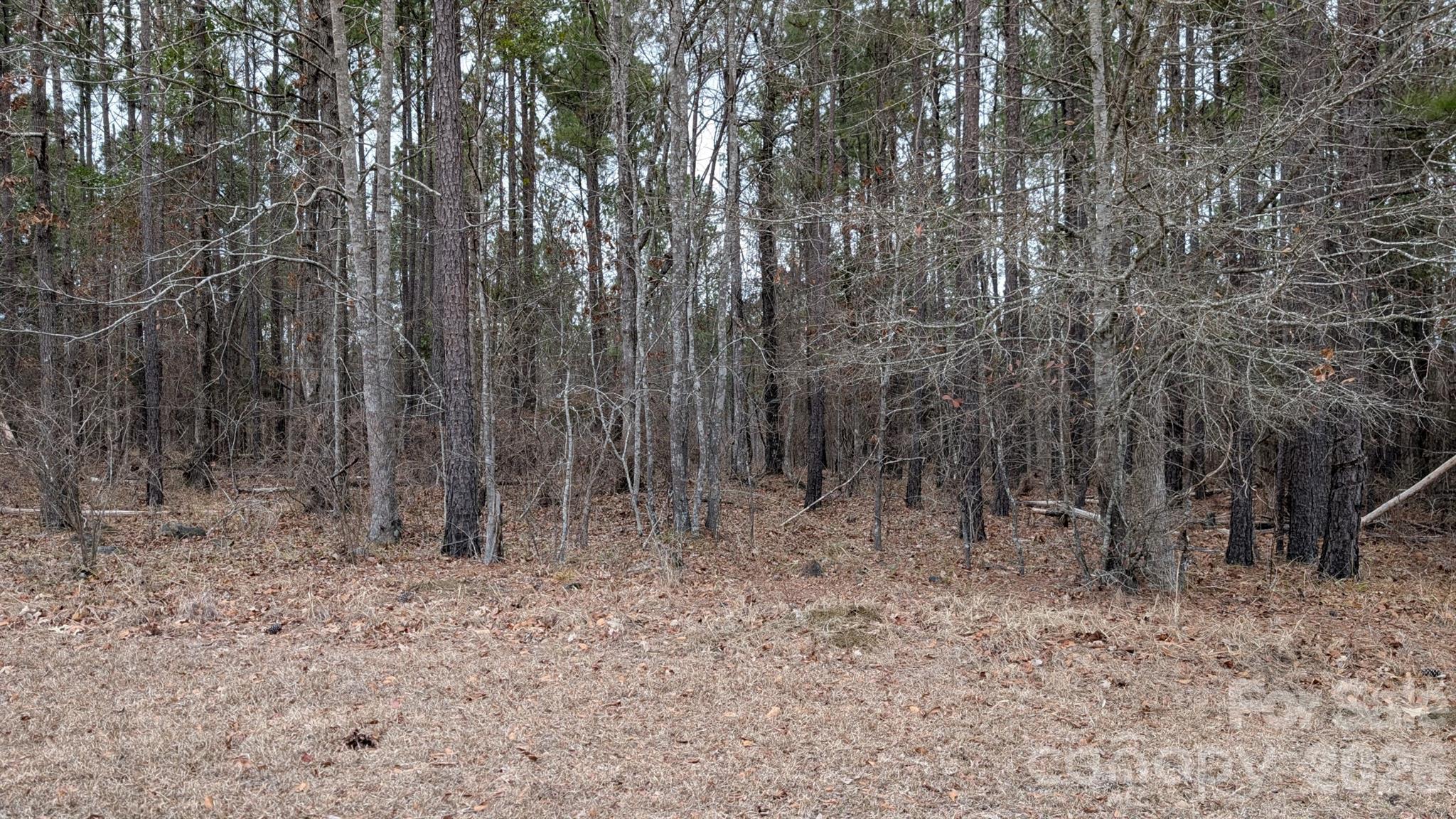 Tbd Retreat Way, Unit 3 Ridgeway, SC 29130 - Photo 6 of 22 a view of small space with wooden fence