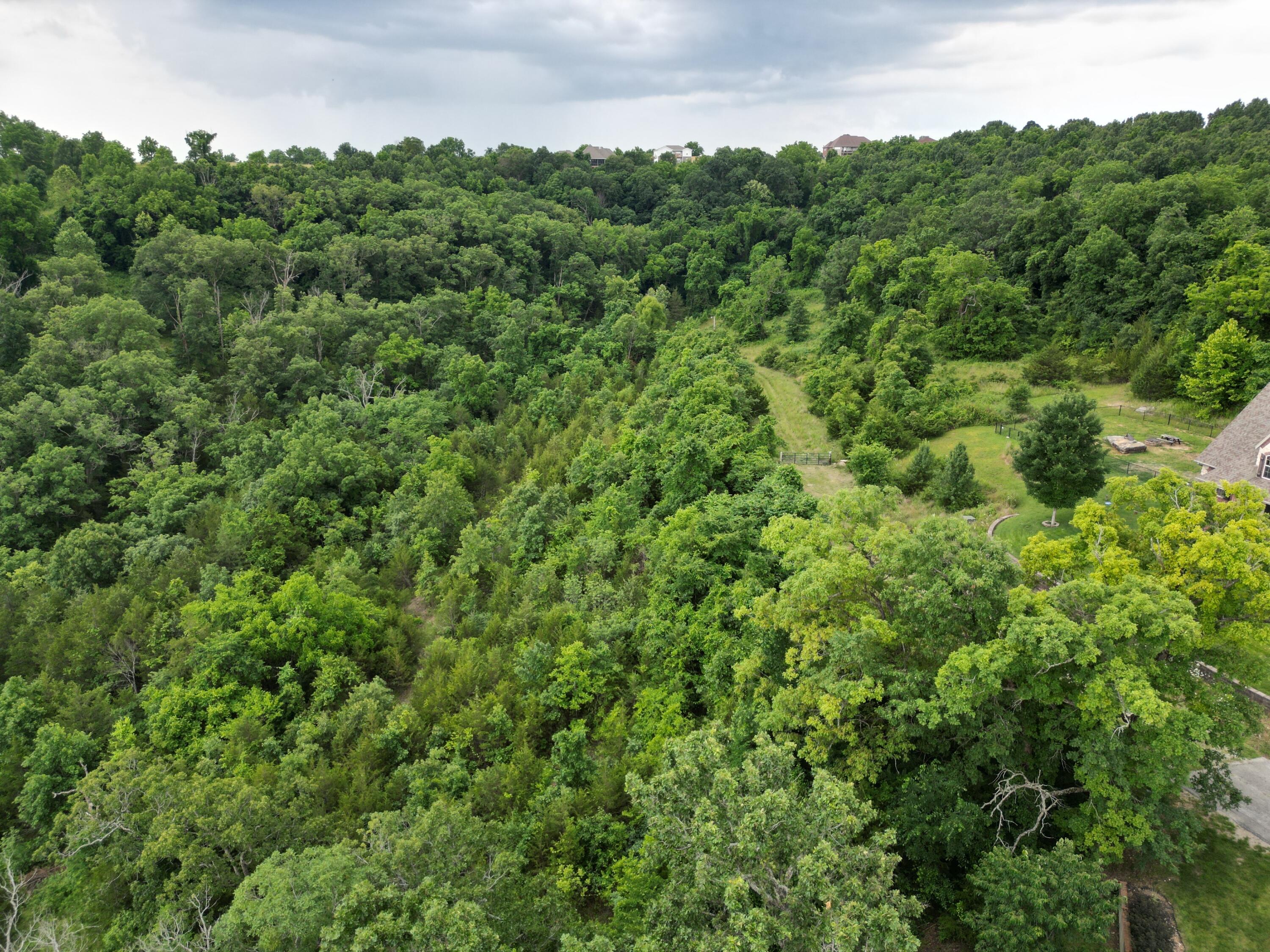259 Jacks Hollow Road Walnut Shade, MO 65771 - Photo 16 of 20 dji_fly_20250611_170142_304_174969574623