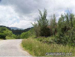 Upper Baltimore Branch Road Hot Springs, NC 28743 - Photo 3 of 6 Gallery Image 3