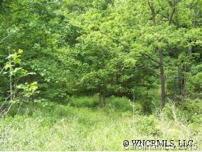 Upper Baltimore Branch Road Hot Springs, NC 28743 - Photo 4 of 6 Gallery Image 4