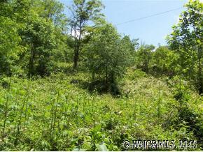 Upper Baltimore Branch Road Hot Springs, NC 28743 - Photo 5 of 6 Gallery Image 5