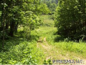 Upper Baltimore Branch Road Hot Springs, NC 28743 - Photo 6 of 6 Gallery Image 6