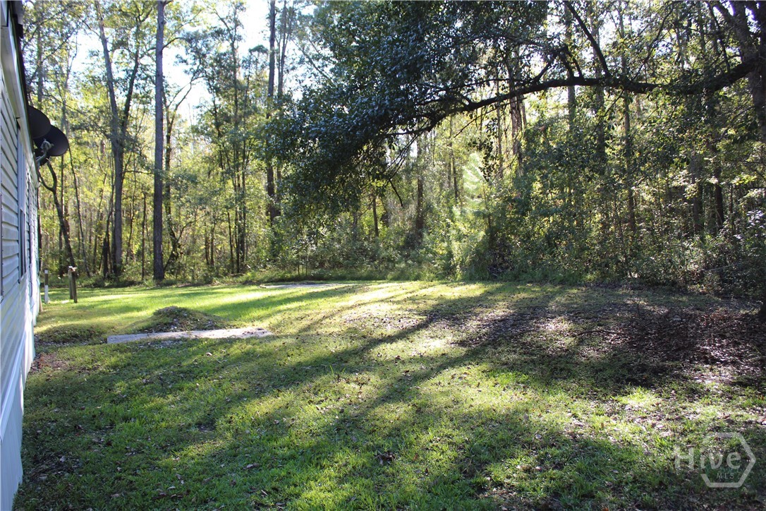 2525 Cartertown Road Richmond Hill, GA 31324 - Photo 4 of 16