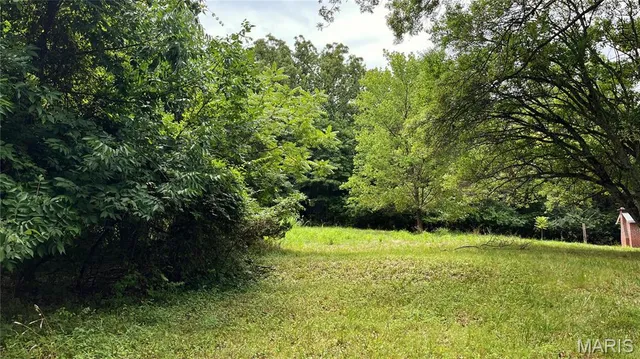 $19,599 | 0 Lakeshore Drive, Cedar Hill, MO 63016