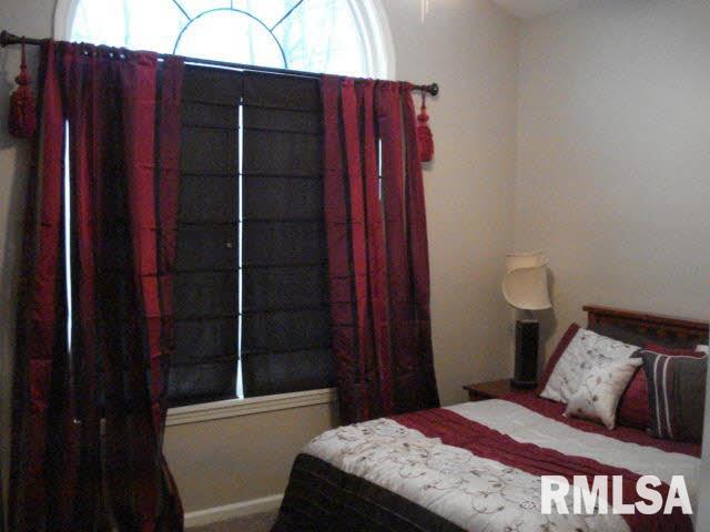 13237 Smith Road Mount Vernon, IL 62864 - Photo 29 of 44