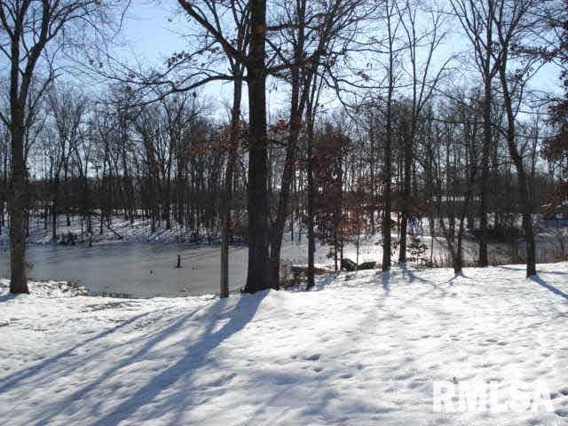 13237 Smith Road Mount Vernon, IL 62864 - Photo 5 of 44
