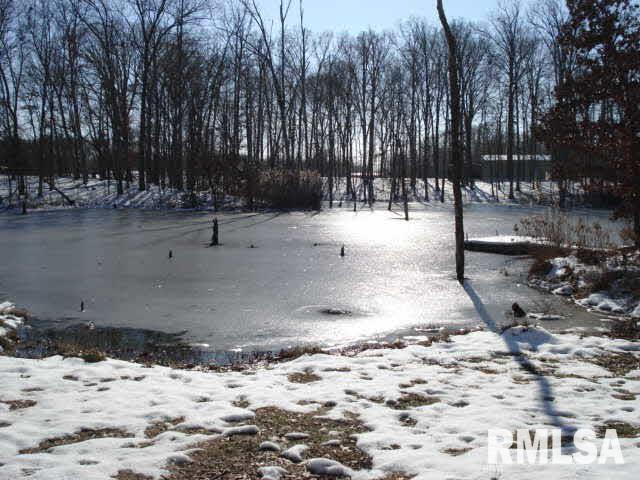 13237 Smith Road Mount Vernon, IL 62864 - Photo 6 of 44