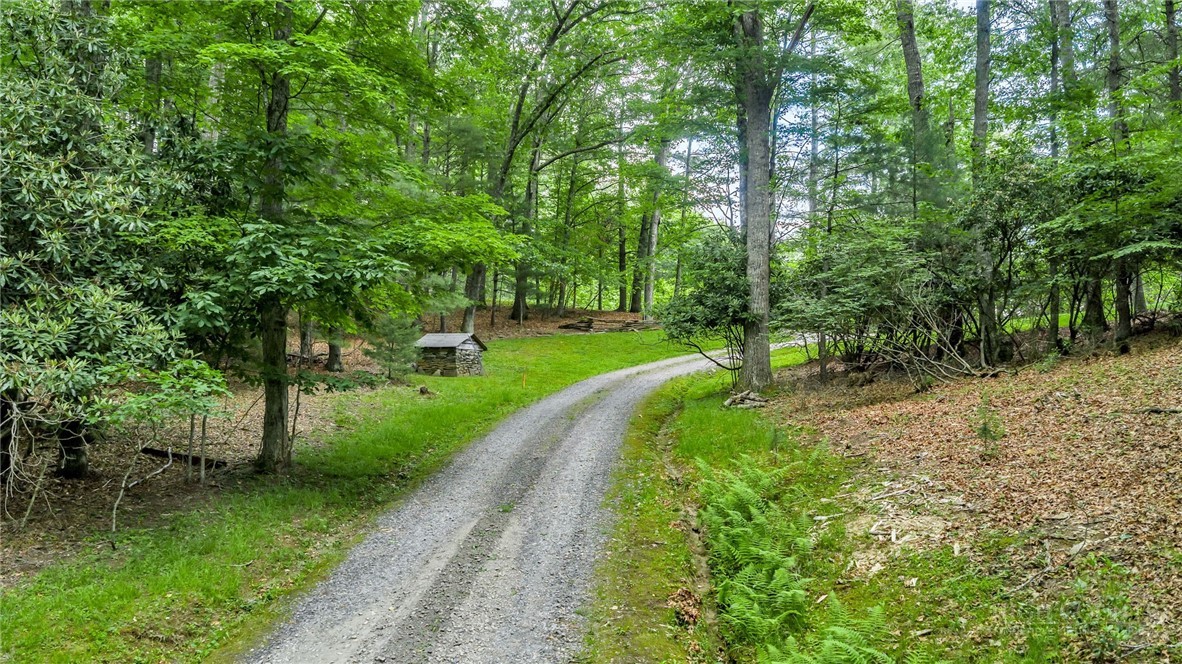 1142 Hartzog Ford Road West Jefferson, NC 28694 - Photo 45 of 47