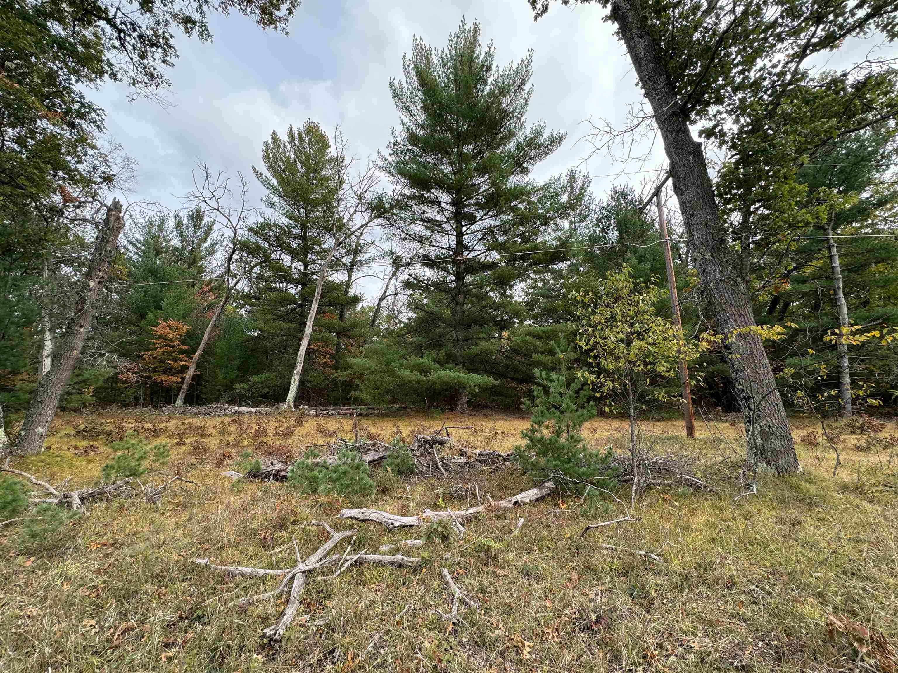 0 Rifle River Drive Prescott, MI 48756 - Photo 4 of 8