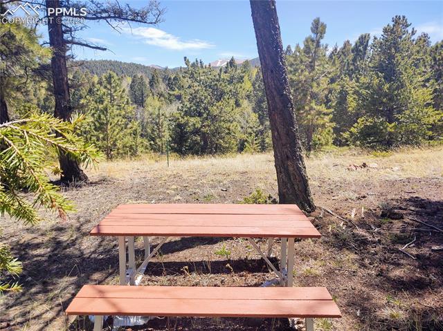 1300 Elk Meadow Road Divide, CO 80814 - Photo 17 of 21