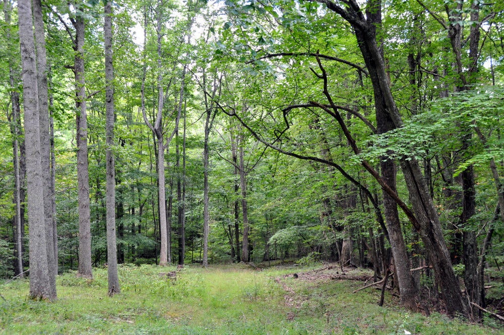 2438 Griffith Creek Road Alderson, WV 24910 - Photo 63 of 68 Gallery Image 63