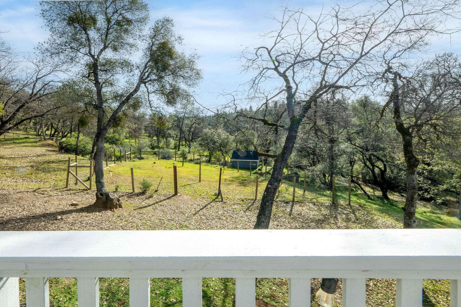 13579 Haas Court Rough and Ready, CA 95975 - Photo 23 of 79 a picture of a yard