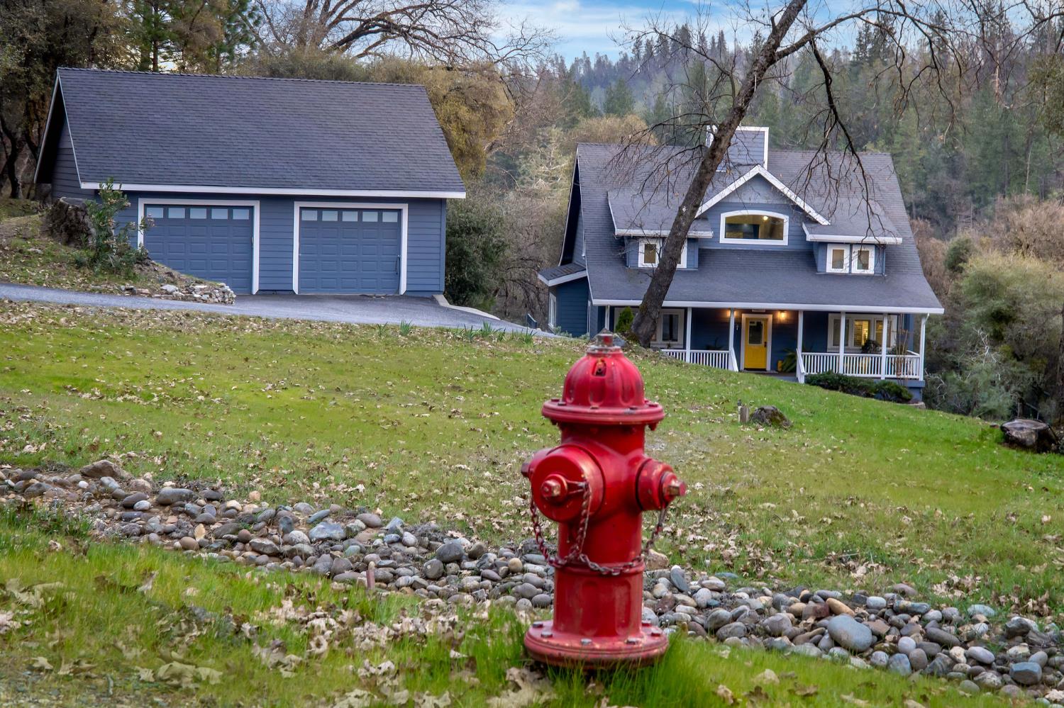 13579 Haas Court Rough and Ready, CA 95975 - Photo 79 of 79 a front view of a house with garden and trees