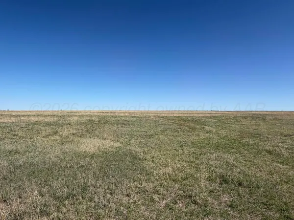 a view of a dry yard with trees