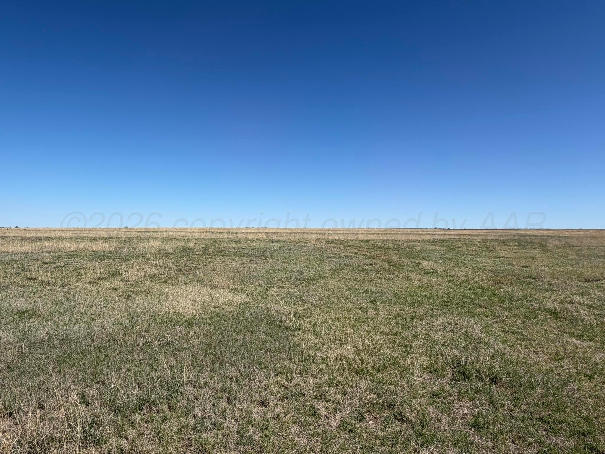 324 Tbd County Road Paducah, TX 79248 - Photo 25 of 34 IMG_0196