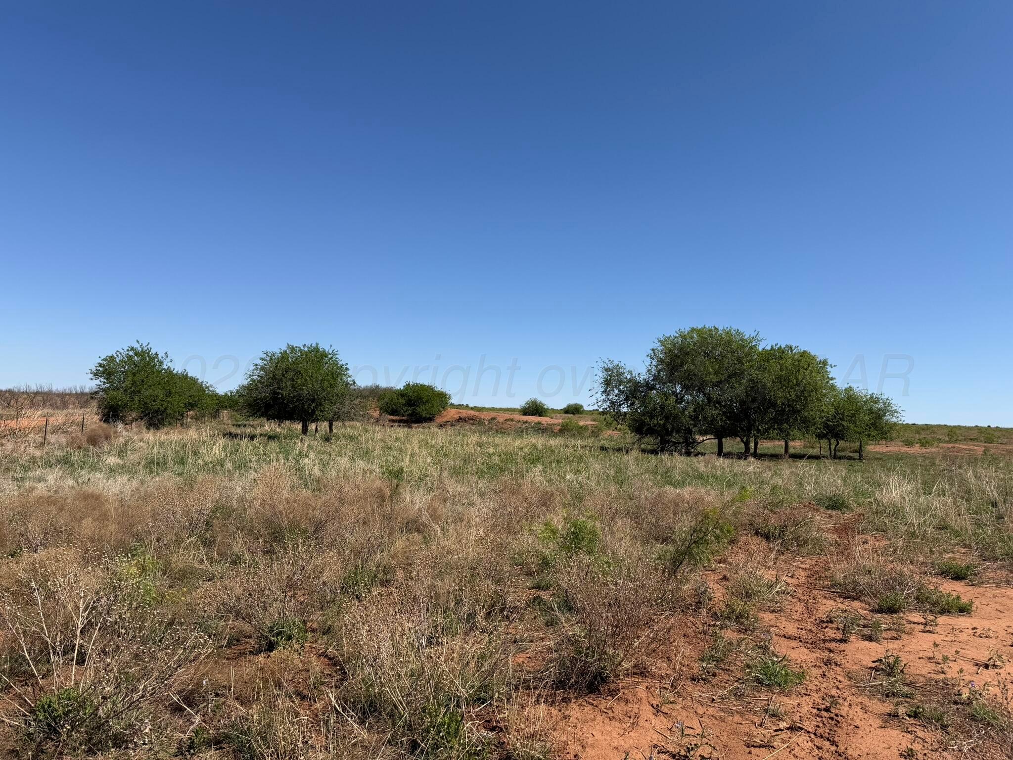 324 Tbd County Road Paducah, TX 79248 - Photo 27 of 34 IMG_0200